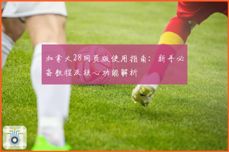 加拿大28网页版使用指南：新手必备教程及核心功能解析