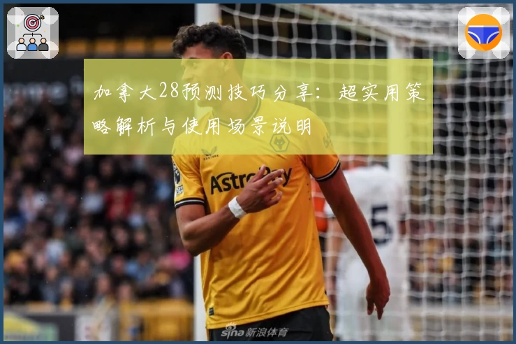 加拿大28预测技巧分享：超实用策略解析与使用场景说明
