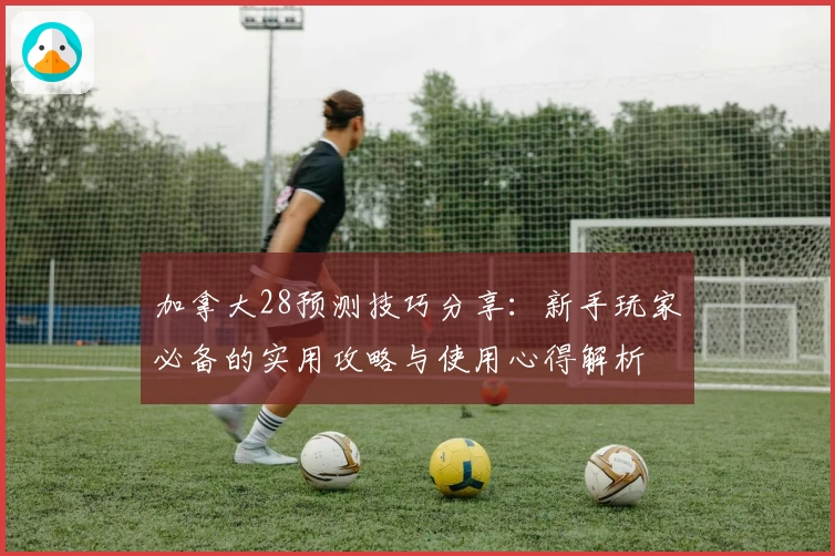 加拿大28预测技巧分享：新手玩家必备的实用攻略与使用心得解析