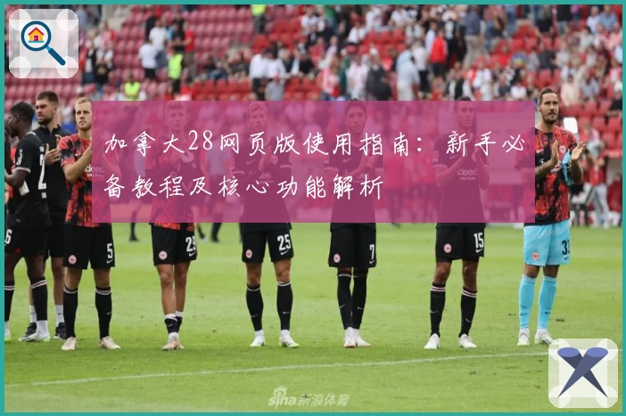 加拿大28网页版使用指南:新手必备教程及核心功能解析