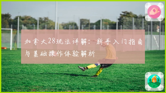 加拿大28玩法详解:新手入门指南与基础操作体验解析