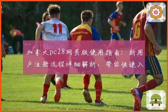 加拿大pc28网页版使用指南：新用户注册流程详细解析，带你快速入门操作体验