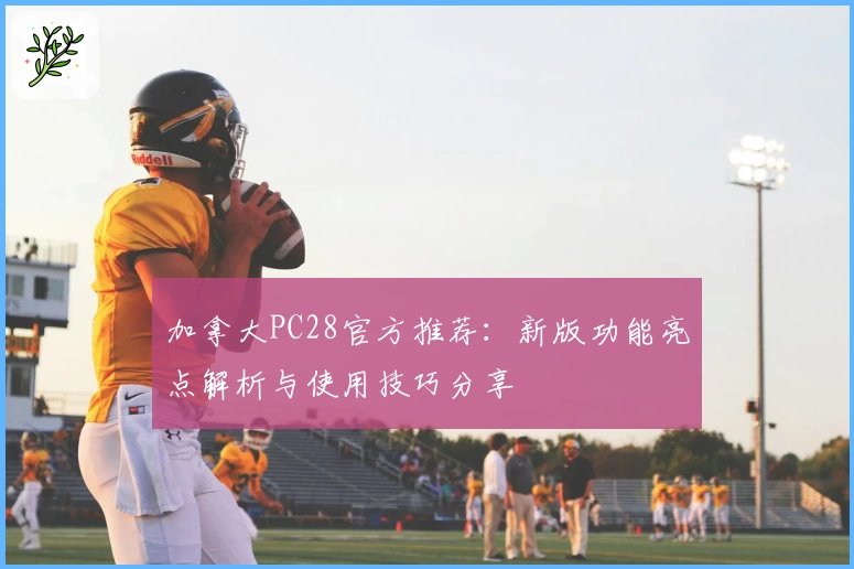 加拿大PC28官方推荐:新版功能亮点解析与使用技巧分享