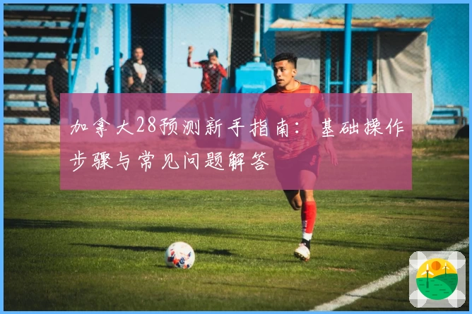 加拿大28预测新手指南：基础操作步骤与常见问题解答