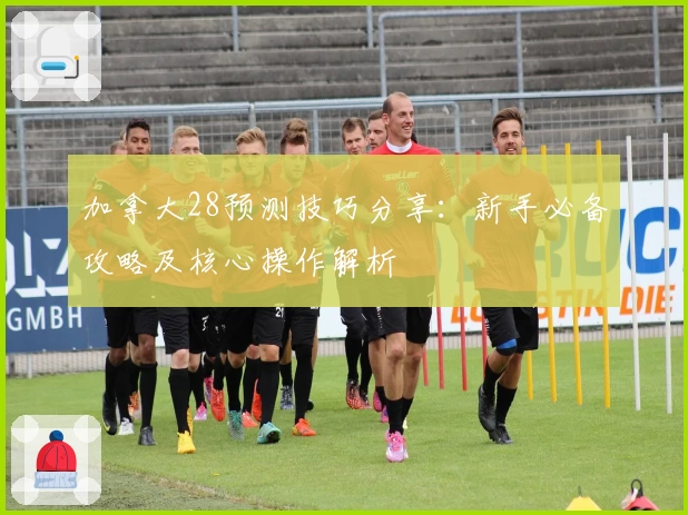 加拿大28预测技巧分享：新手必备攻略及核心操作解析