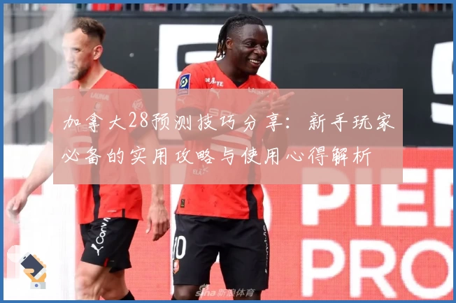 加拿大28预测技巧分享:新手玩家必备的实用攻略与使用心得解析
