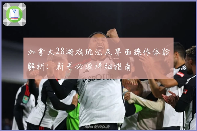 加拿大28游戏玩法及界面操作体验解析：新手必读详细指南