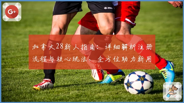 加拿大28新人指南：详细解析注册流程与核心玩法，全方位助力新用户快速上手