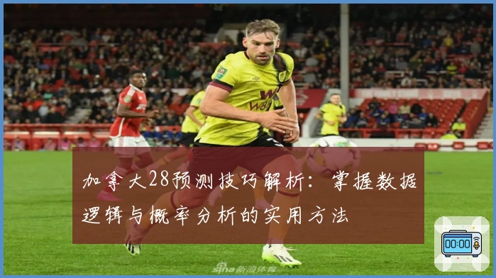 加拿大28预测技巧解析：掌握数据逻辑与概率分析的实用方法