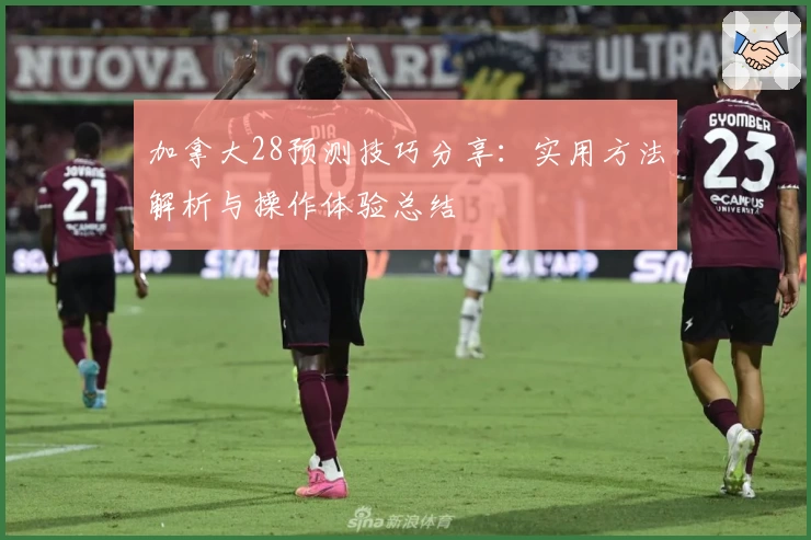 加拿大28预测技巧分享:实用方法解析与操作体验总结