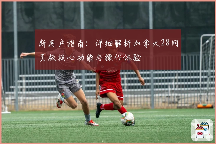 新用户指南：详细解析加拿大28网页版核心功能与操作体验